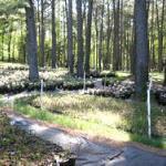 Homeplace Gardens Nursery Container Area