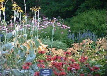 Flowers at Mesker Zoo Botanic Garden