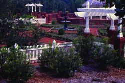 Georgia Botanical Garden scene